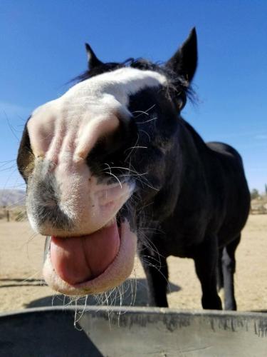 19:48:02 GMT-0800 (PST).image