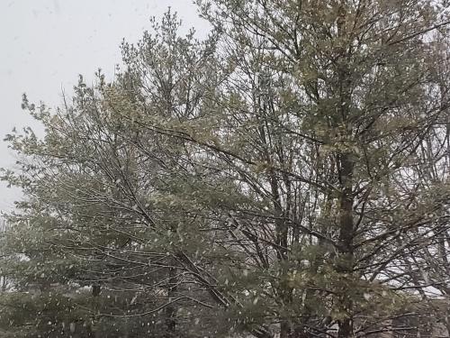 10:14:30 GMT-0500 (EST)