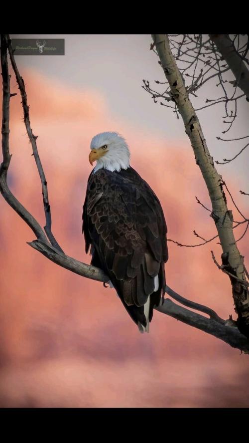 22:54:47 GMT-0600 (CST).image