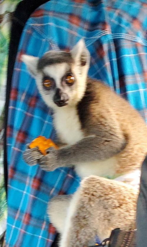 23:13:37 GMT-0600 (CST)