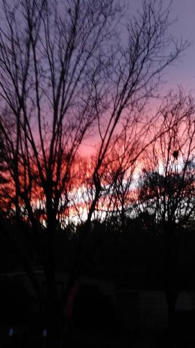 09:47:22 GMT-0600 (CST)