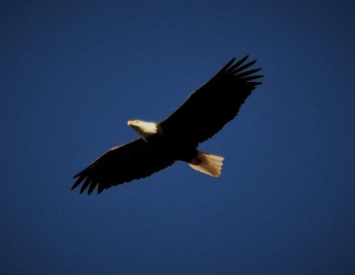 23:04:44 GMT-0600 (CST)