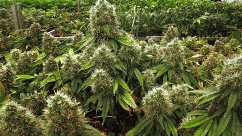 05:22:59 GMT-0800 (PST)