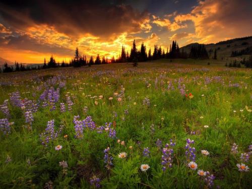 139947201_1496000573932621_4932751366160992017_o