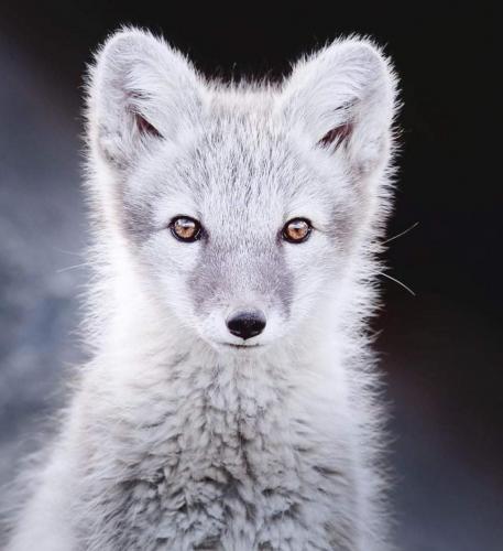 21:12:58 GMT-0600 (CST)