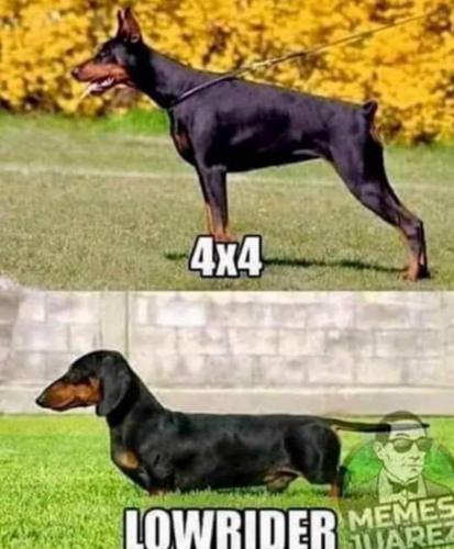 08:01:37 GMT-0700 (MST).image