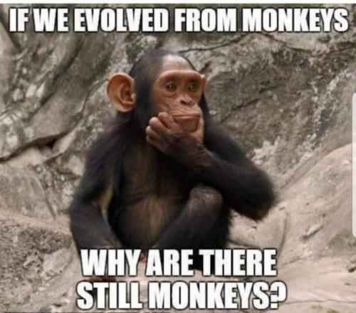 18:44:55 GMT-0500 (EST)