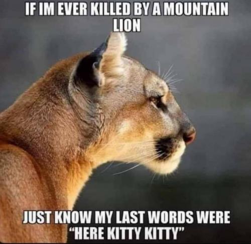 23:50:50 GMT-0500 (EST)