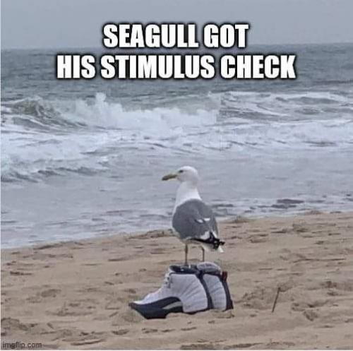 20:11:29 GMT-0800 (PST)