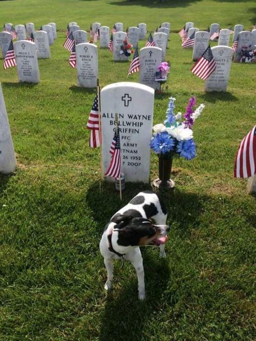 09:49:56 GMT+0100 (WAT).image