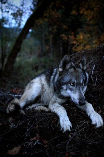 09:41:57 GMT-0600 (CST)