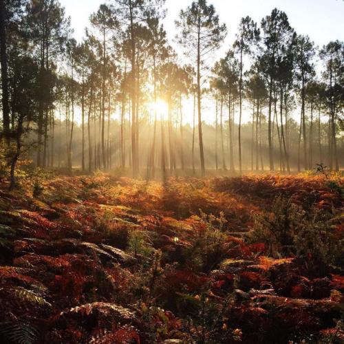 137018038_1491179037748108_6376710096727411528_o