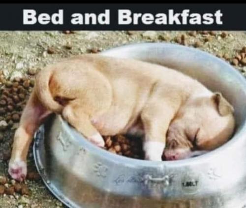 14:03:24 GMT-0800 (PST).image