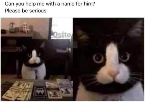 10:27:25 GMT-0600 (CST)