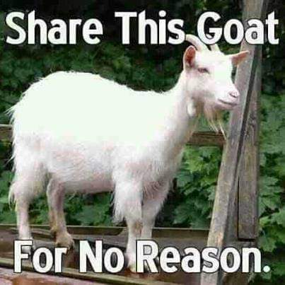 13:44:53 GMT-0600 (CST)