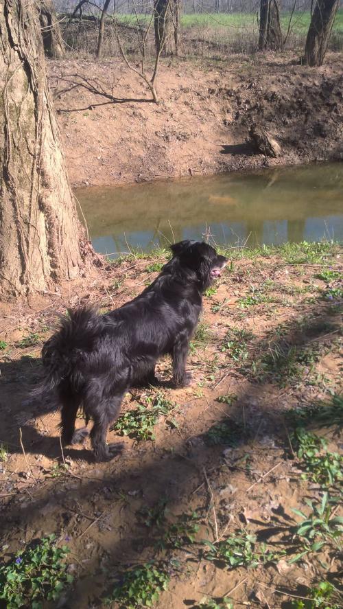 07:29:20 GMT-0500 (EST)