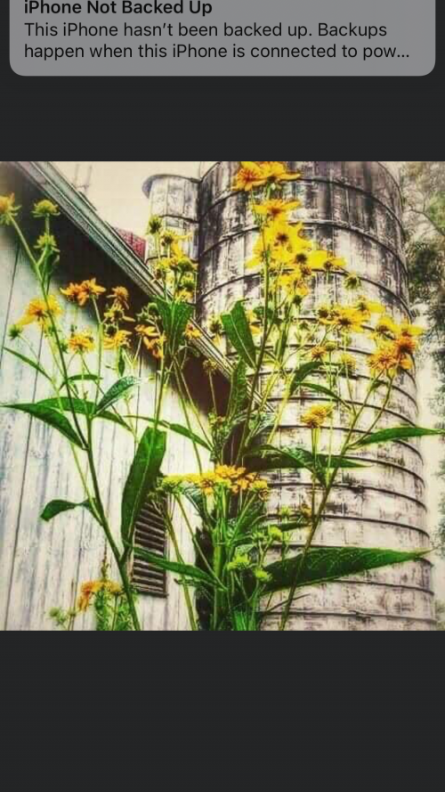 68DD3180-7219-48E0-9A5B-7A9DACEC5DCE