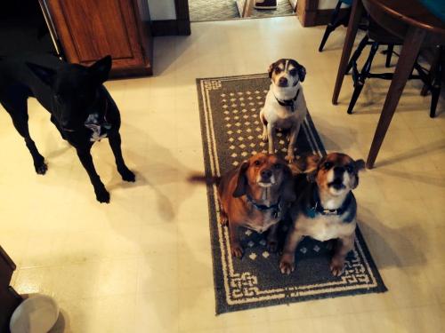 10:17:07 GMT-0600 (CST).image