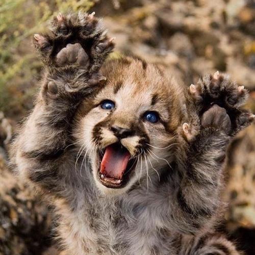 142116333_1782014768631394_290890260637259290_n