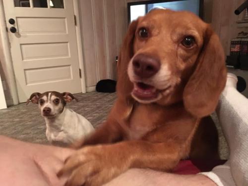 19:00:46 GMT-0600 (CST).image