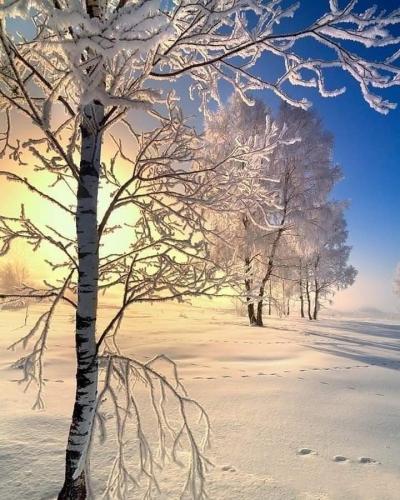 22:24:08 GMT-0600 (CST)