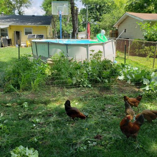 12:45:55 GMT-0500 (EST)