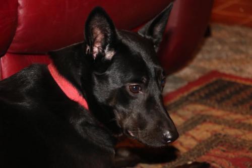 10:05:28 GMT-0600 (CST).image