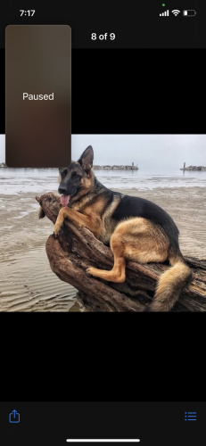 16:29:12 GMT-0500 (EST).image