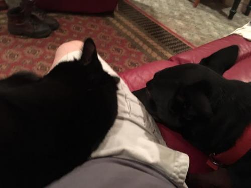 10:14:47 GMT-0600 (CST).image