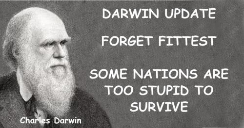 cdarwin