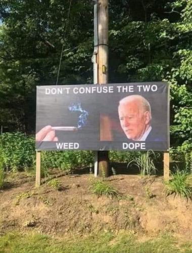 biden354