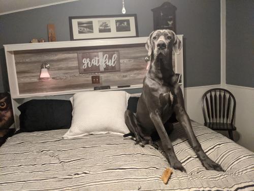 17:04:59 GMT-0600 (CST)