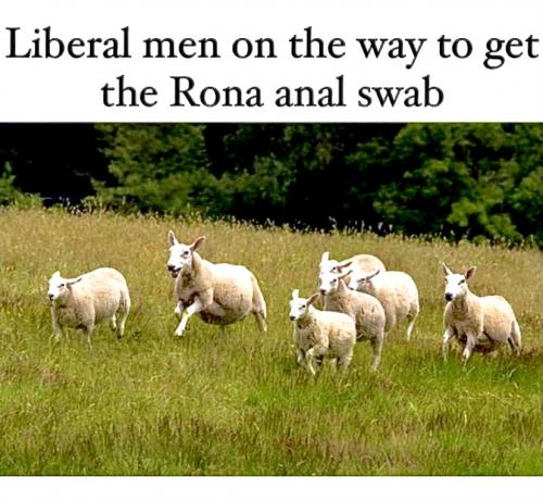 22:53:18 GMT-0700 (MST).image