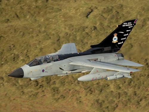 141257106_3693809350705258_508007997407266102_n