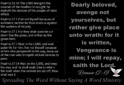 141092919_3605585106227345_4180731741168118444_o