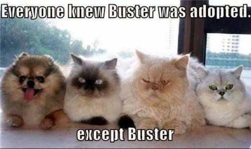 BUSTER