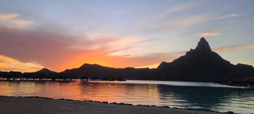 00:29:41 GMT-0600 (CST)