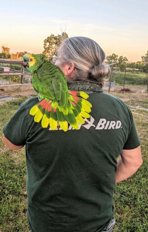 09:31:06 GMT-0800 (PST).image