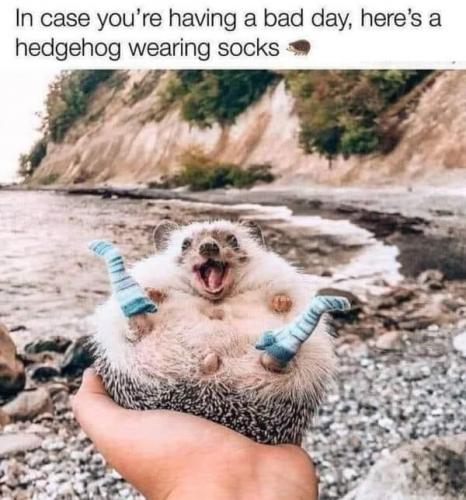 19:07:28 GMT-0800 (PST).image