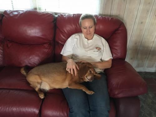 19:00:46 GMT-0600 (CST).image