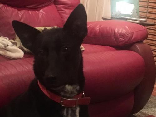 10:04:54 GMT-0600 (CST).image