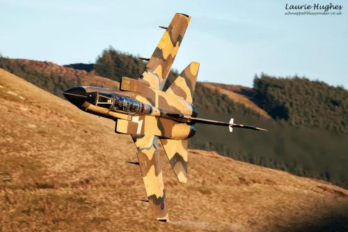 140001357_1114368722332561_4042760935150286579_o