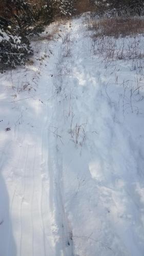 17:50:36 GMT-0600 (CST)