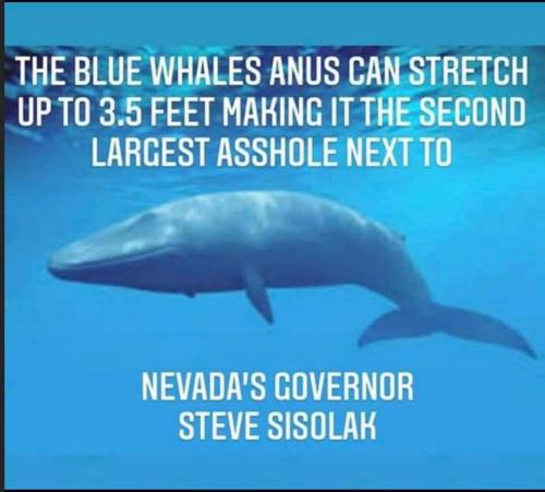 02:03:27 GMT-0800 (PST)