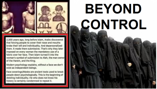 136669355_2812890555635401_4624377537003132082_n