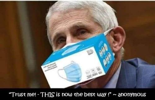 Dumbass Fauci and whole box of masks - sarcasm meme