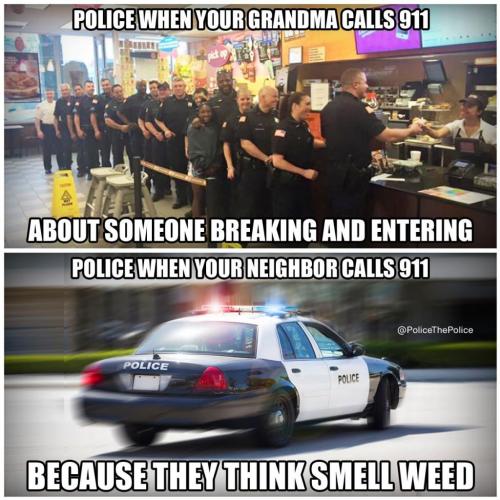 132359192_428447471818309_2533894908881794970_o