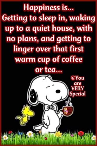 08:25:29 GMT-0600 (CST)