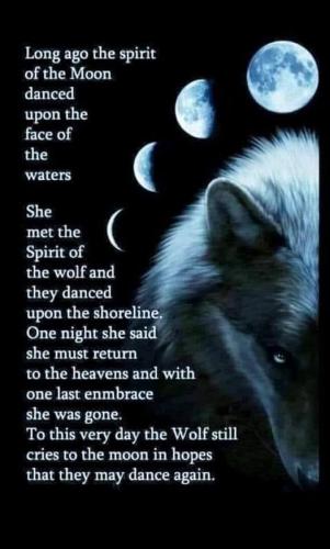 138556061_3805888086121257_2187282505004572204_n