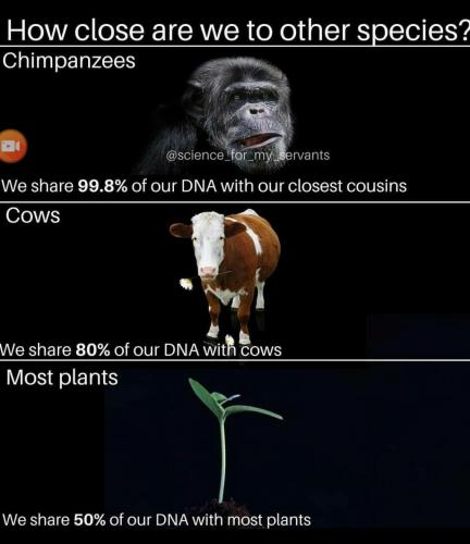 00:57:07 GMT-0800 (PST)